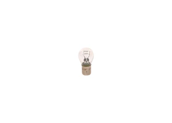 Bulb, Trucklight