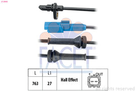 FACET 21-0060