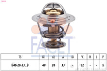 טען תמונה למציג הגלריה, FACET 7-8319s