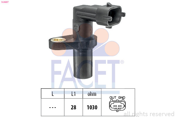 FACET 9-0697