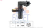FACET 9-0697