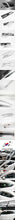 Load image into Gallery viewer, מגן רוח הדבקה מזדה 3 MK3 BM 2013-2019 4 חלקים