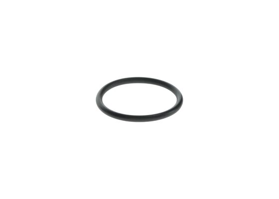 O-ring
