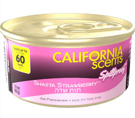 מפיץ ריח פחית קליפורניה לבית תות שדה CALIFORNIA