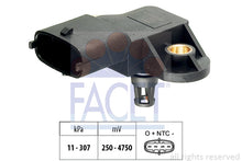 טען תמונה למציג הגלריה, FACET 10-3082