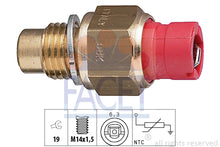 טען תמונה למציג הגלריה, FACET 7-3267