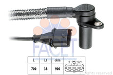 טען תמונה למציג הגלריה, FACET 9-0284