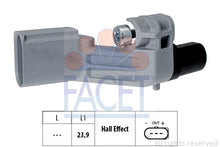 טען תמונה למציג הגלריה, FACET 9-0464