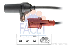 טען תמונה למציג הגלריה, FACET 9-0206