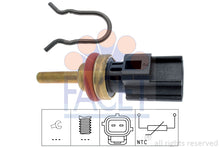 טען תמונה למציג הגלריה, FACET 7-3346