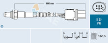 Load image into Gallery viewer, FAE 75069