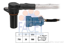 טען תמונה למציג הגלריה, FACET 9-0283