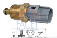 טען תמונה למציג הגלריה, FACET 7-3363