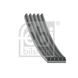 רצועת FEBI לפיאט 500 2009-2022 / פיאט PUNTO 2010-2014 ועוד 12 דגמים PK מק