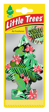 טען תמונה למציג הגלריה, מפיץ ריח עץ ריח JUNGLE FEVER Little Tree LITTLE TREES