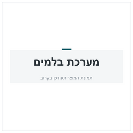 611 810 ACS  מסנן מייבש סילפוס