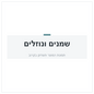 ש.גיר GL4 75W EV רכב חשמלי 1L