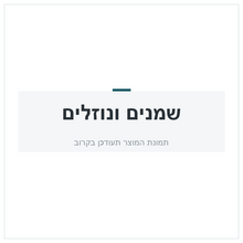 טען תמונה למציג הגלריה, תוסף דלק מ.דיזל 300ML