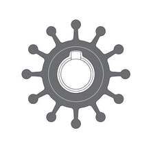 Load image into Gallery viewer, אימפלר נאופרן לציר מפתח למשאבת ג'ונסון F5 קוטר חיצוני 57.1 מ״מ רוחב 31.5 מ״מ