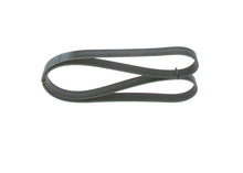 טען תמונה למציג הגלריה, רצועת מנוע מאן FL,FK,FC 18.310 TGA 06-04 1 987 947 056