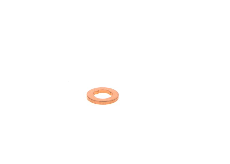 דיסקית לחץ למרסס F 00V P01 004