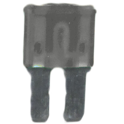 נתיך מיני מיקרו 25A ל (100) ZEEMAN