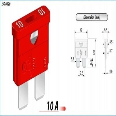 נתיך אמריקאי 10A ZEEMAN - 100 יח' באריזה