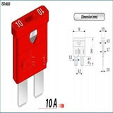 נתיך אמריקאי 10A ZEEMAN - 100 יח' באריזה