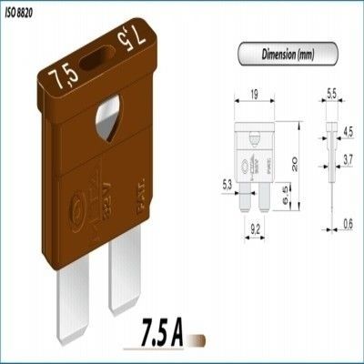 נתיך אמריקאי 7.5A ZEEMAN - 100 יח' באריזה